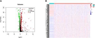 A Novel RNA Binding Protein-Related Prognostic Signature for Hepatocellular Carcinoma